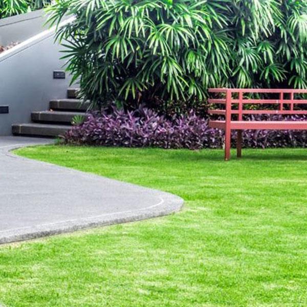 Servizi - Bonus verde 2018 - detrazione 36% per giardini e terrazzi1