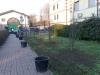 Giardini pubblici 3