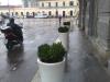 Allestimenti ed Eventi 5